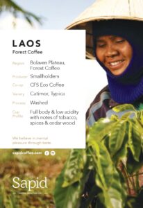 laos forest_page-0001