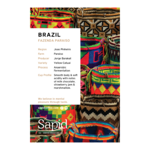 sapid-card-2021-Brazil
