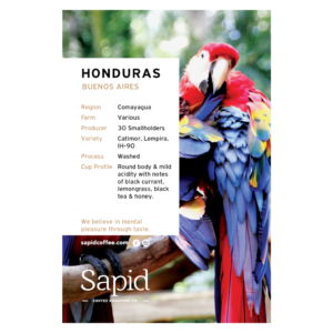sapid-card-2021-Honduras copy