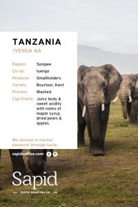 Sapid Coffee Cards_2022-Tanzania (1)