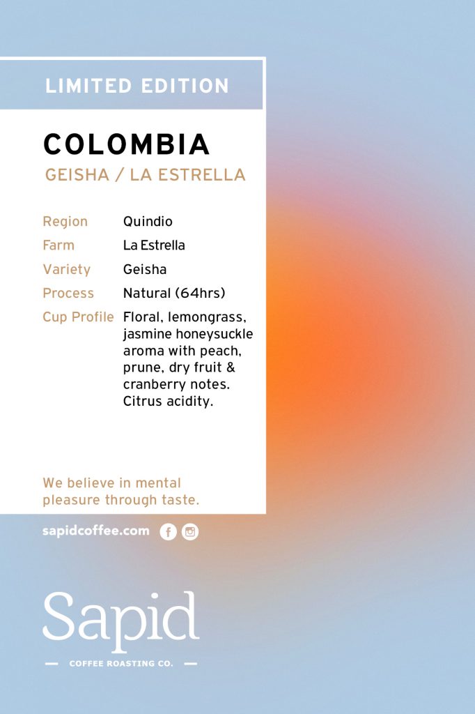 COLOMBIA - Geisha