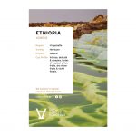 Sapid Coffee Cards_2023-NEWLOGO-ethiopia kebede copy