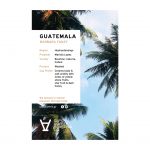 Sapid Coffee Cards_2023-NEWLOGO-guatemala barbara fanzy copy