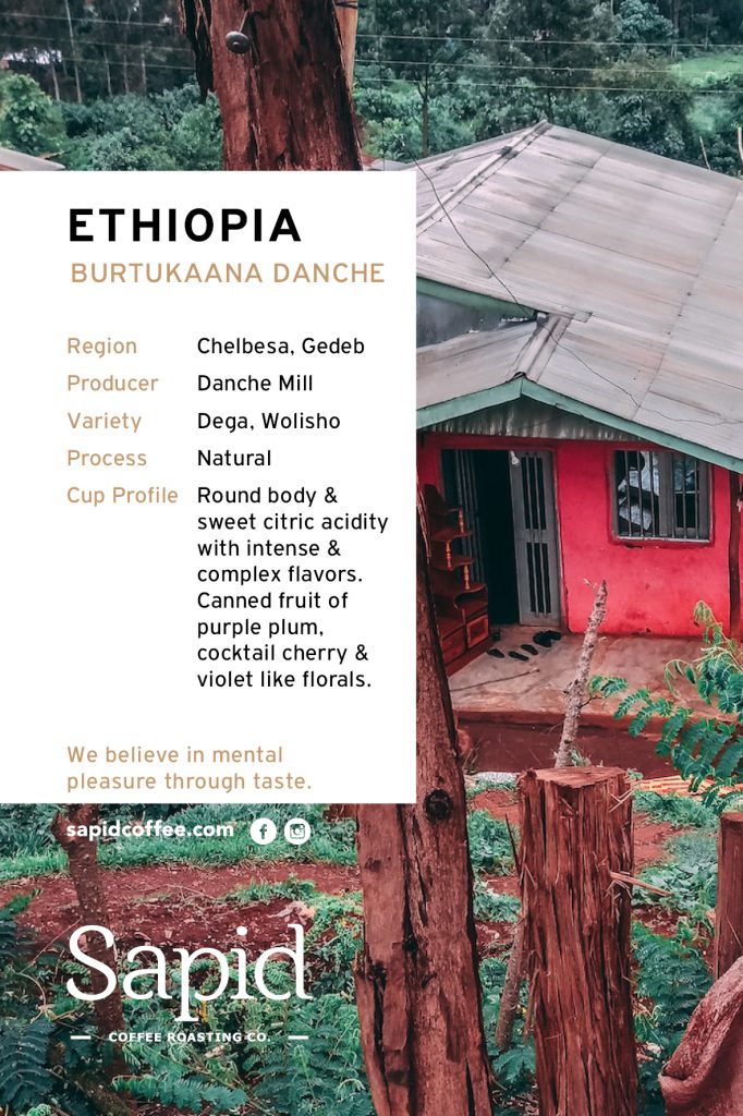 Sapid Coffee Card_2022-ethiopia Danche-