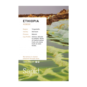 Sapid Coffee Cards_2023-aithiopia kebede