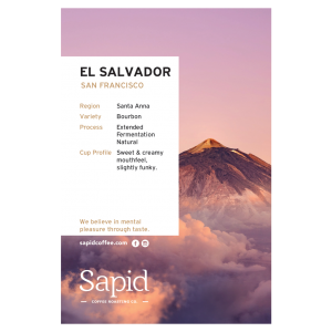 Sapid Coffee Cards_2023-el salvador san francisco